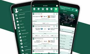 Step-by-Step Guide to BetWinner Registration Process